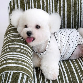 Canapé-lit pour chien en velours jacquard rayé en chenille pour chiots