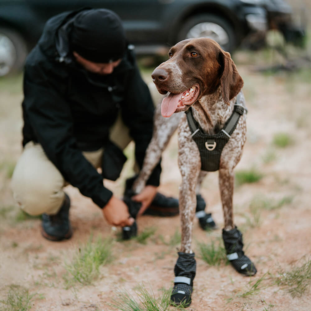 Chic Bottes de chien en caoutchouc imperméables antidérapantes réfléchissantes