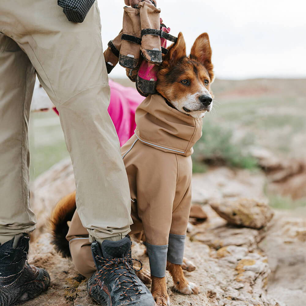 Chic Bottes de chien en caoutchouc imperméables antidérapantes réfléchissantes