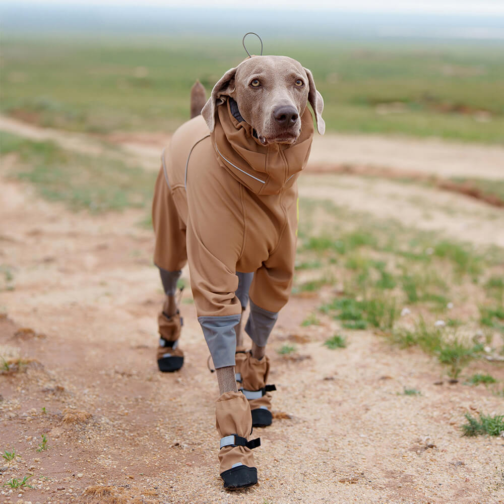 Chic Bottes de chien en caoutchouc imperméables antidérapantes réfléchissantes