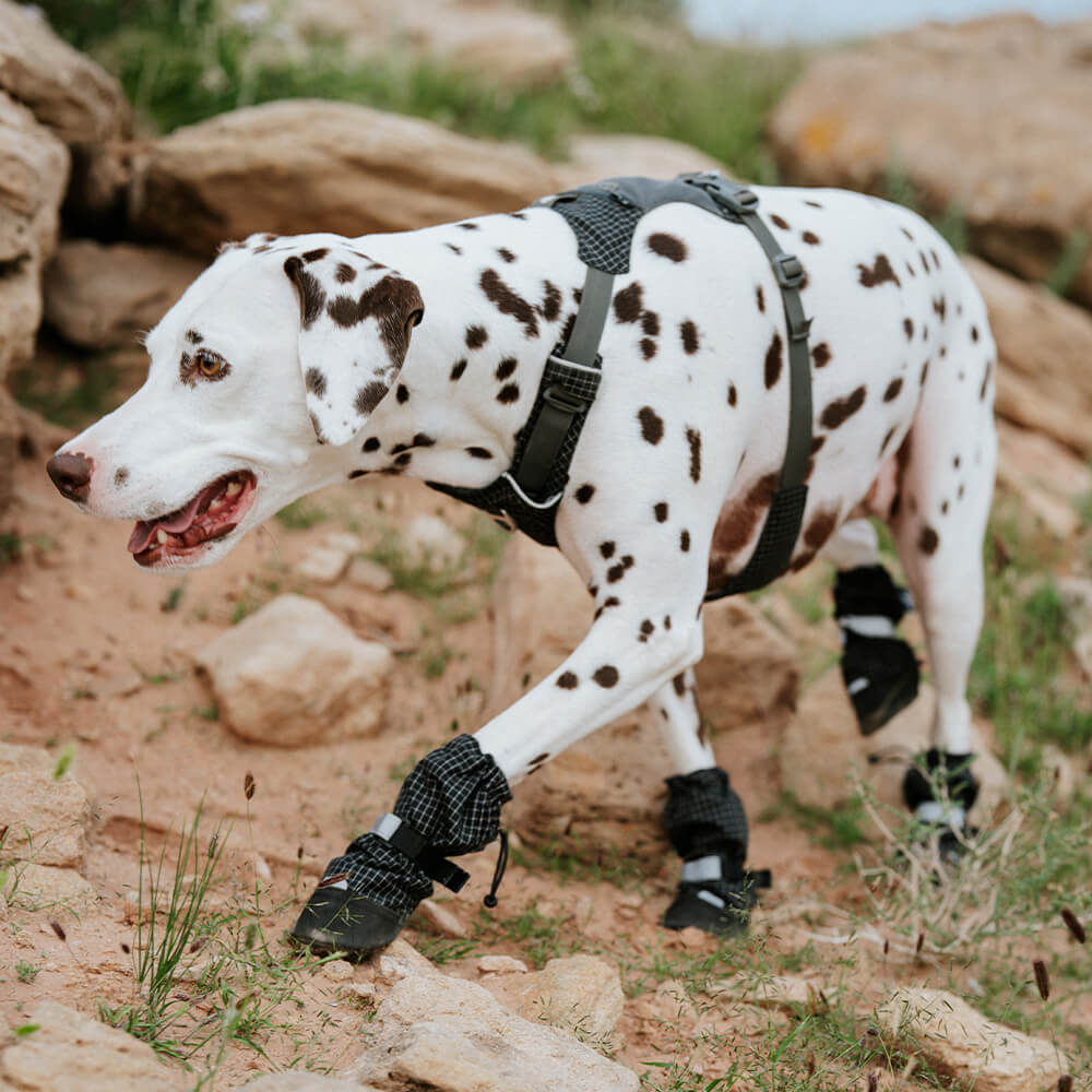 Chic Bottes de chien en caoutchouc imperméables antidérapantes réfléchissantes