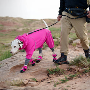 Chic Bottes de chien en caoutchouc imperméables antidérapantes réfléchissantes