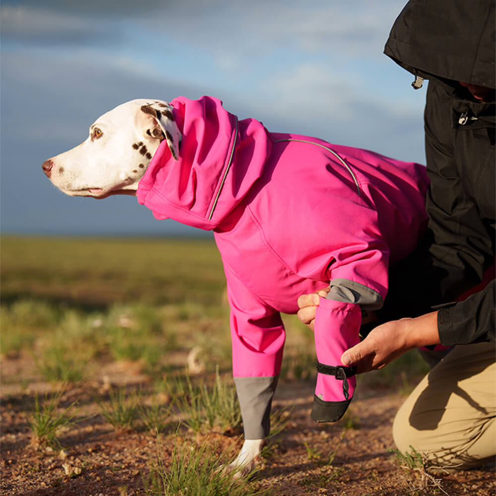 Chic Bottes de chien en caoutchouc imperméables antidérapantes réfléchissantes