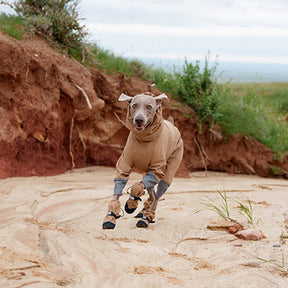 Chic Bottes de chien en caoutchouc imperméables antidérapantes réfléchissantes