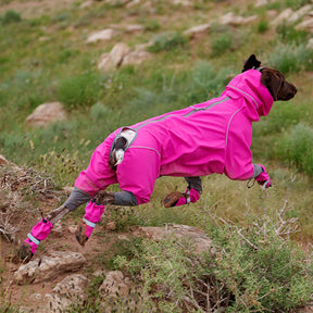 Chic Bottes de chien en caoutchouc imperméables antidérapantes réfléchissantes