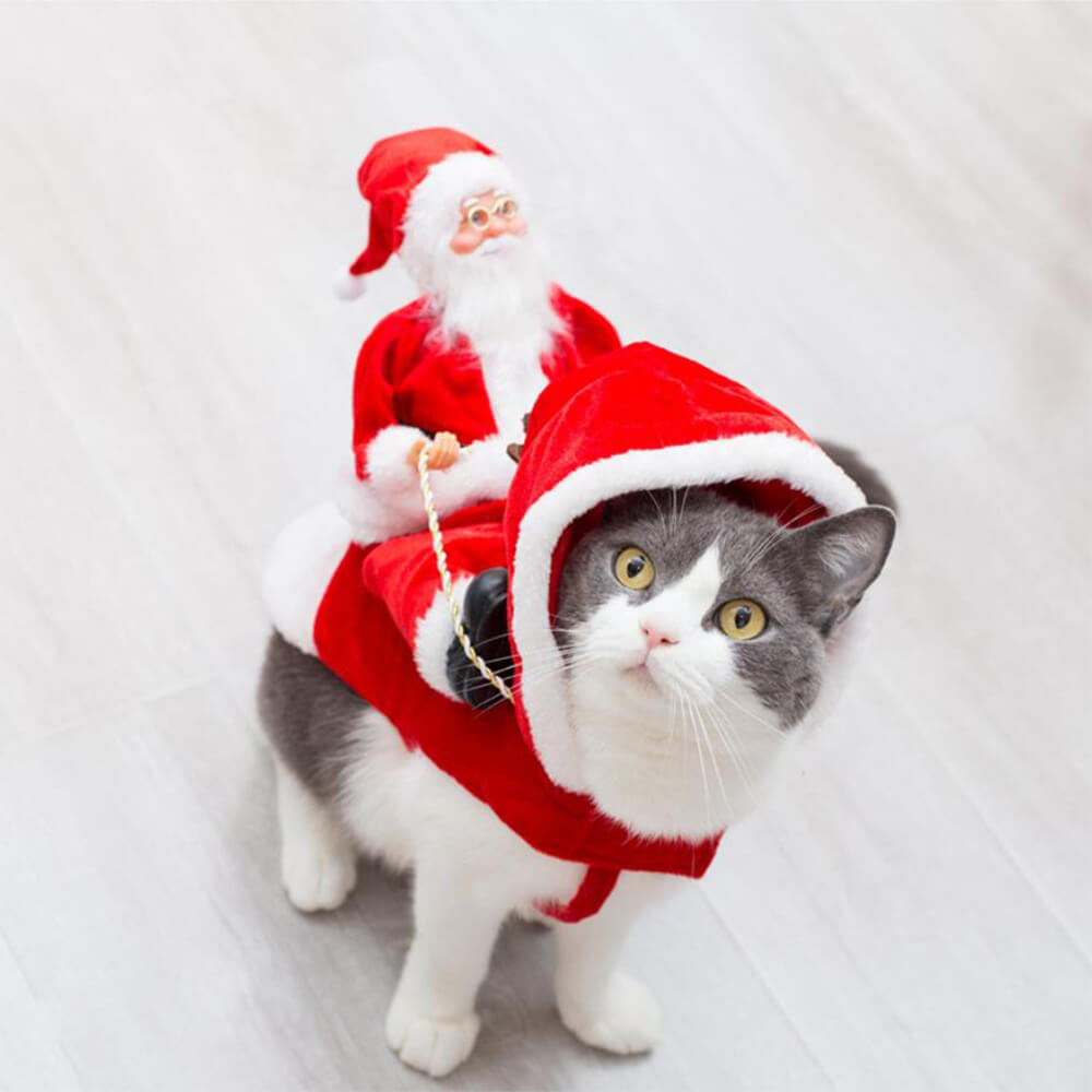 Costume pour animal de compagnie Cosplay du Père Noël