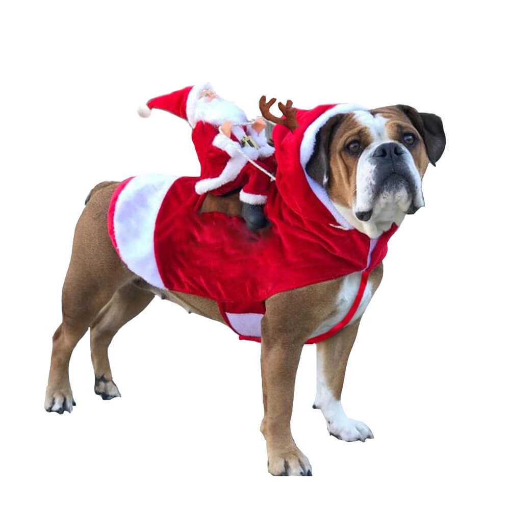 Costume de chien Cosplay pour animal de compagnie du Père Noël pour fête de Noël