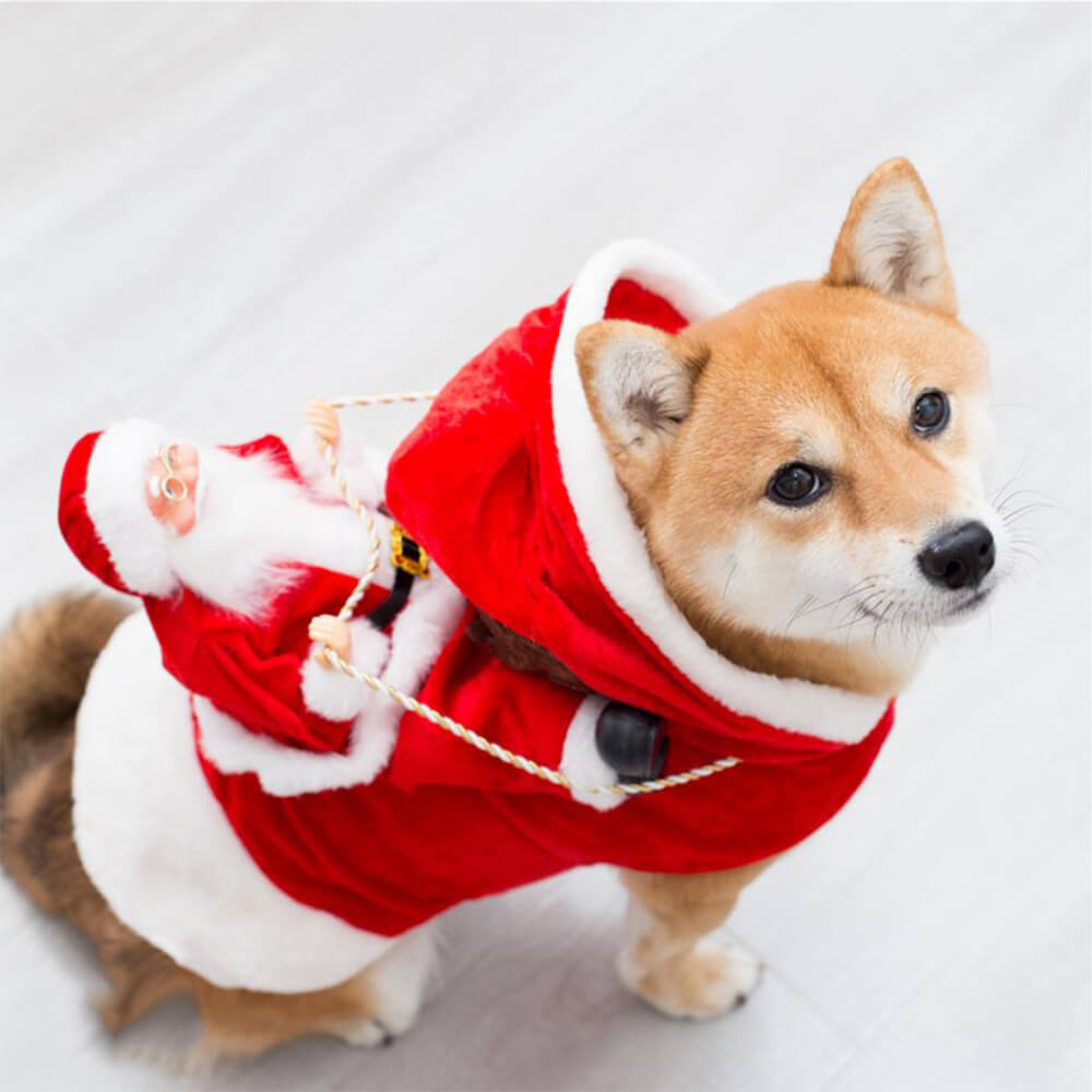 Costume de chien Cosplay pour animal de compagnie du Père Noël pour fête de Noël