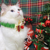 Collier bavoir réglable pour chien et chat avec boules à pompons de Noël