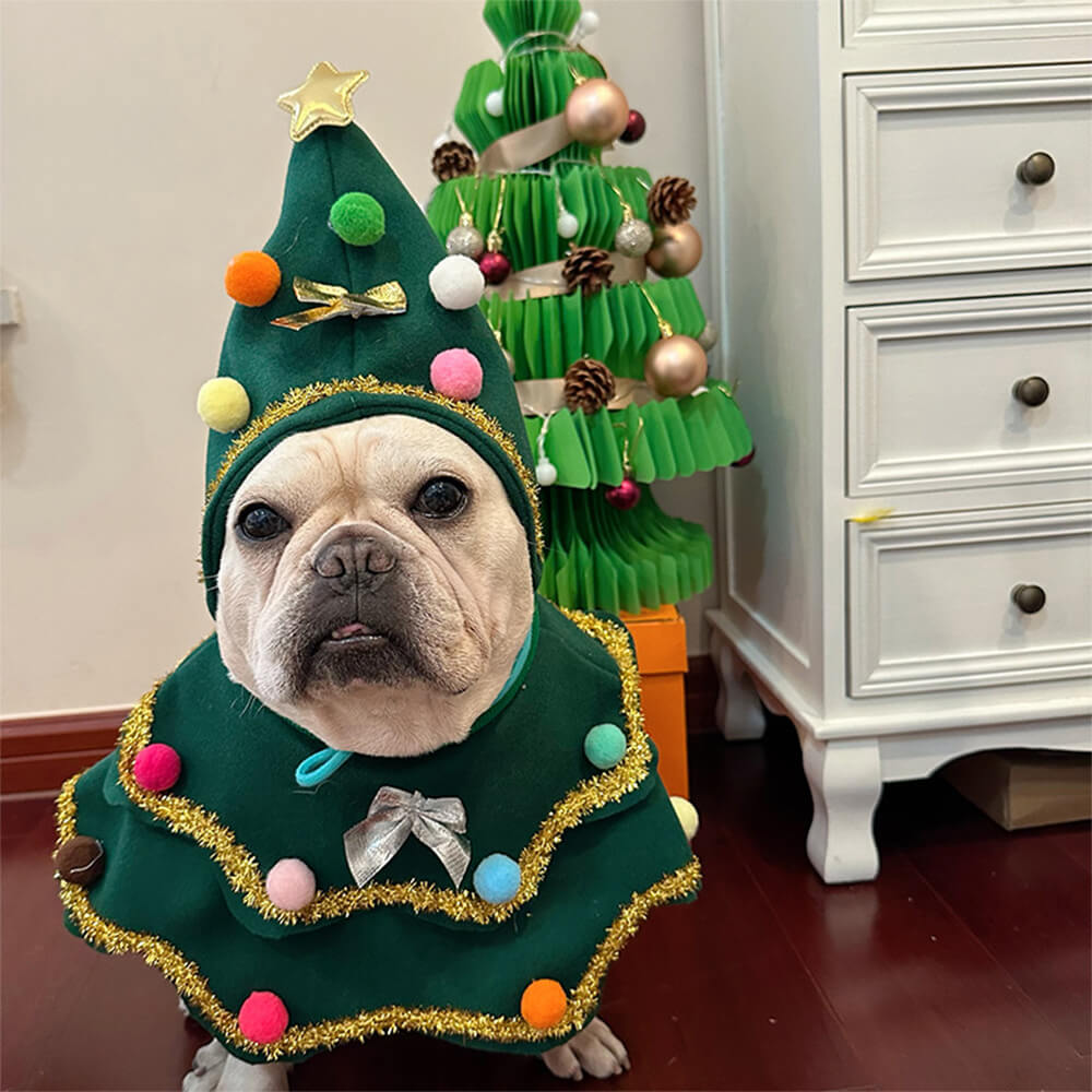 Costume de Cosplay pour Chien et Chat avec Chapeau et Cape pour Sapin de Noël