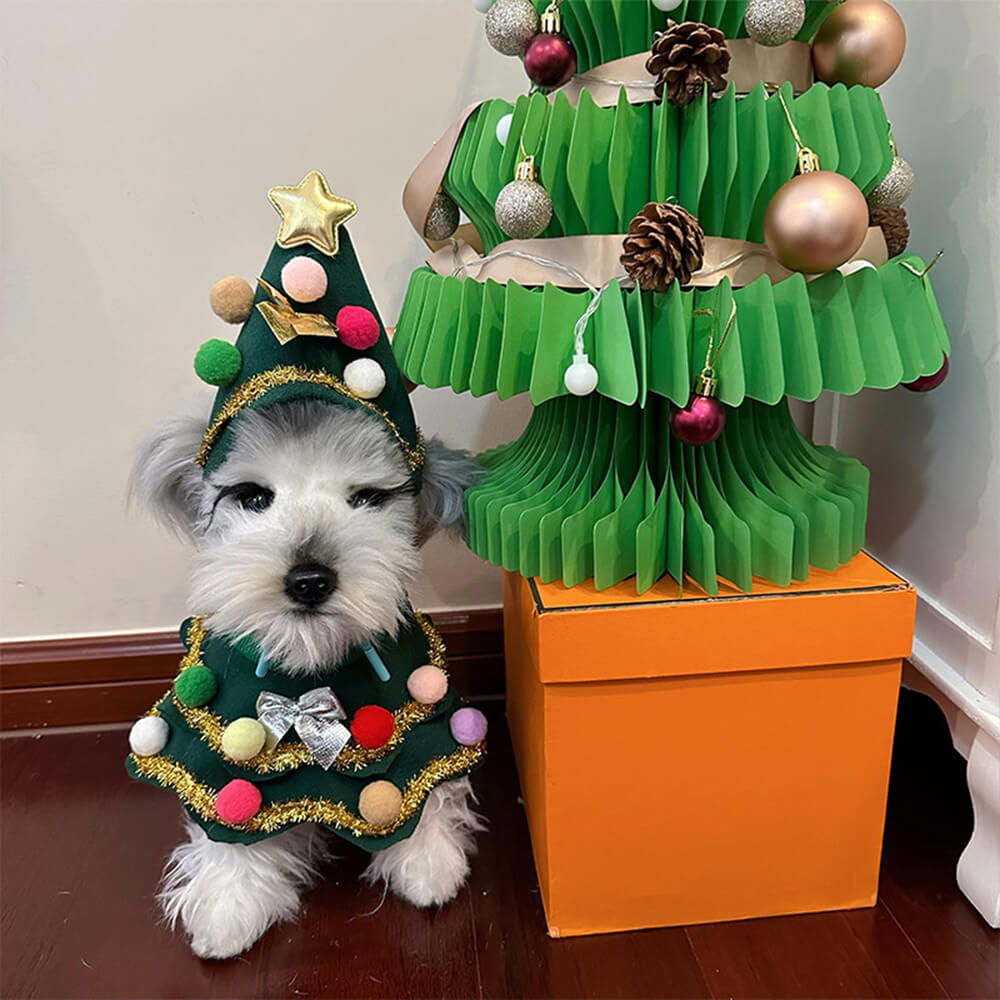 Costume de Cosplay pour Chien et Chat avec Chapeau et Cape pour Sapin de Noël