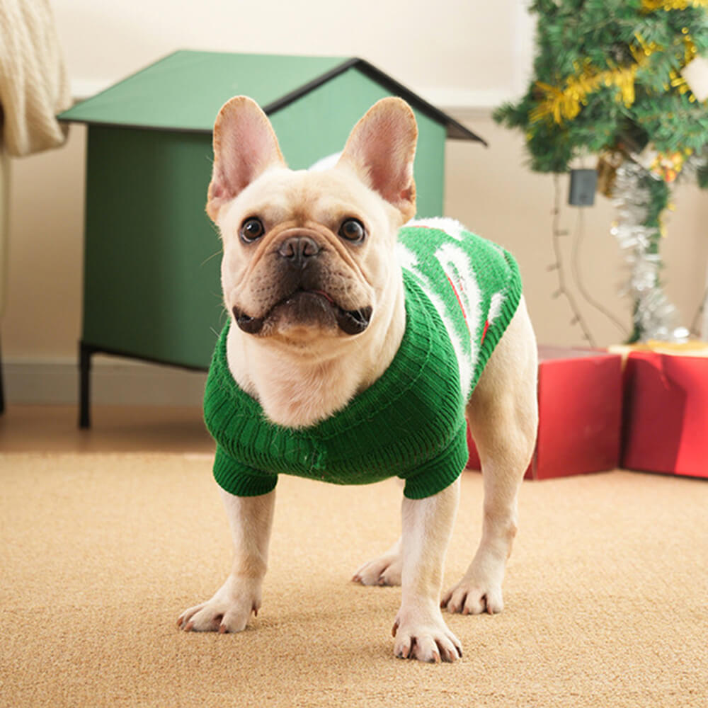 Pull en Maille Col Roulé de Noël pour Chien et Maître Assortis