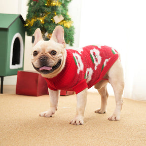 Pull en Maille Col Roulé de Noël pour Chien et Maître Assortis