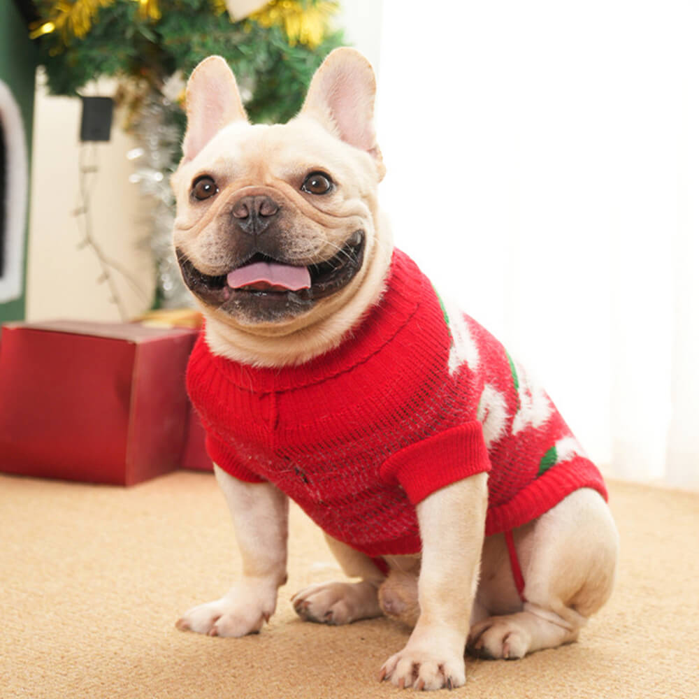 Pull en Maille Col Roulé de Noël pour Chien et Maître Assortis