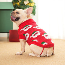 Pull en Maille Col Roulé de Noël pour Chien et Maître Assortis