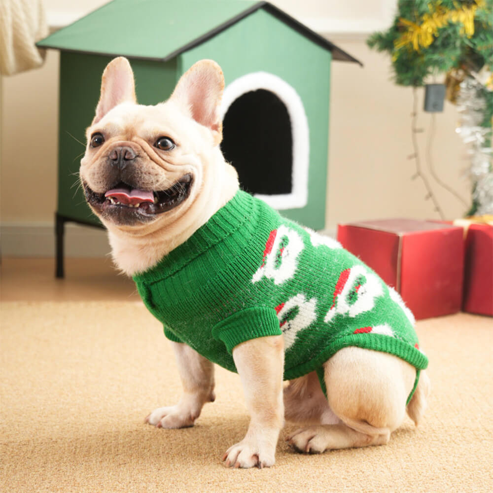 Pull en Maille Col Roulé de Noël pour Chien et Maître Assortis