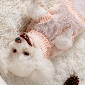 Pull en Maille Col Roulé de Noël pour Chien et Maître Assortis