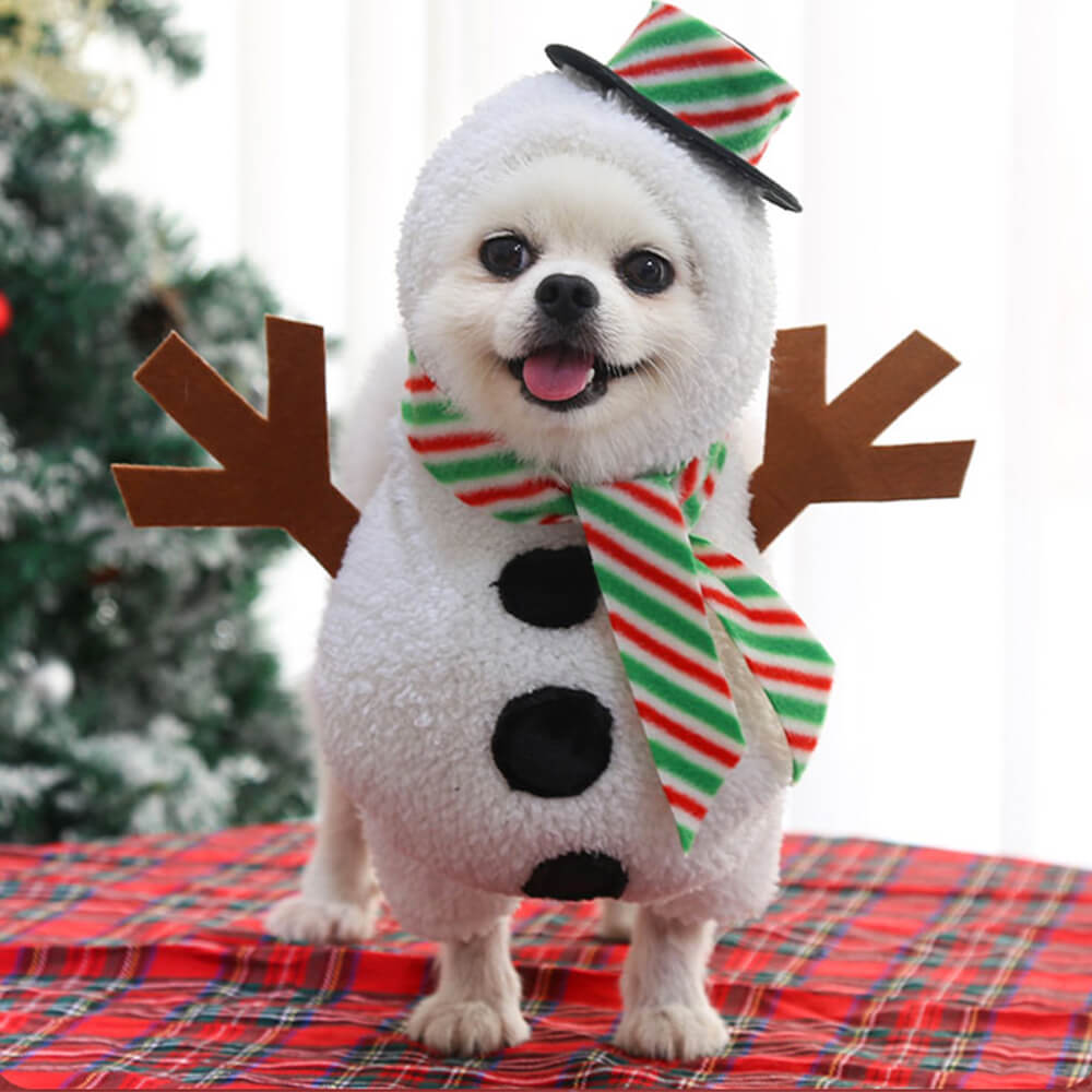 Costume de bonhomme de neige de Noël pour chien et chat