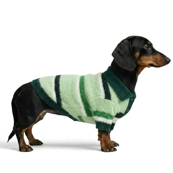 Pull pour chien teckel en fausse fourrure de vison à rayures et coloris bloc, chaud, adapté pour chiots.