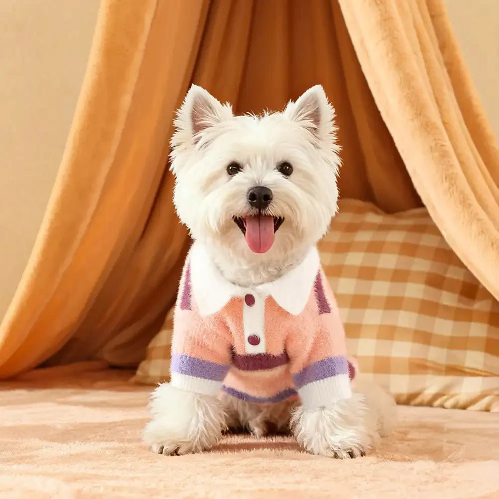 Pull pour chien teckel en fausse fourrure de vison à rayures et coloris bloc, chaud, adapté pour chiots.