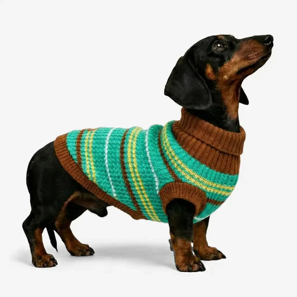 Pull pour chien teckel à rayures en blocs de couleurs