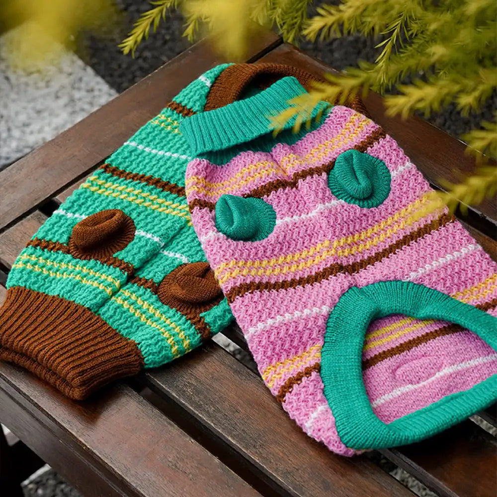 Pull pour chien teckel à rayures en blocs de couleurs