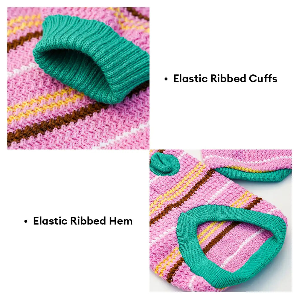 Pull pour chien teckel à rayures en blocs de couleurs