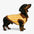 Pull pour chien en polyester à col polo rayé avec blocs de couleur de teckel.