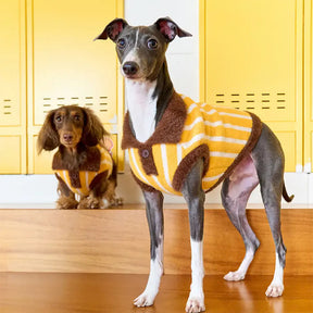 Pull pour chien en polyester à col polo rayé avec blocs de couleur de teckel.