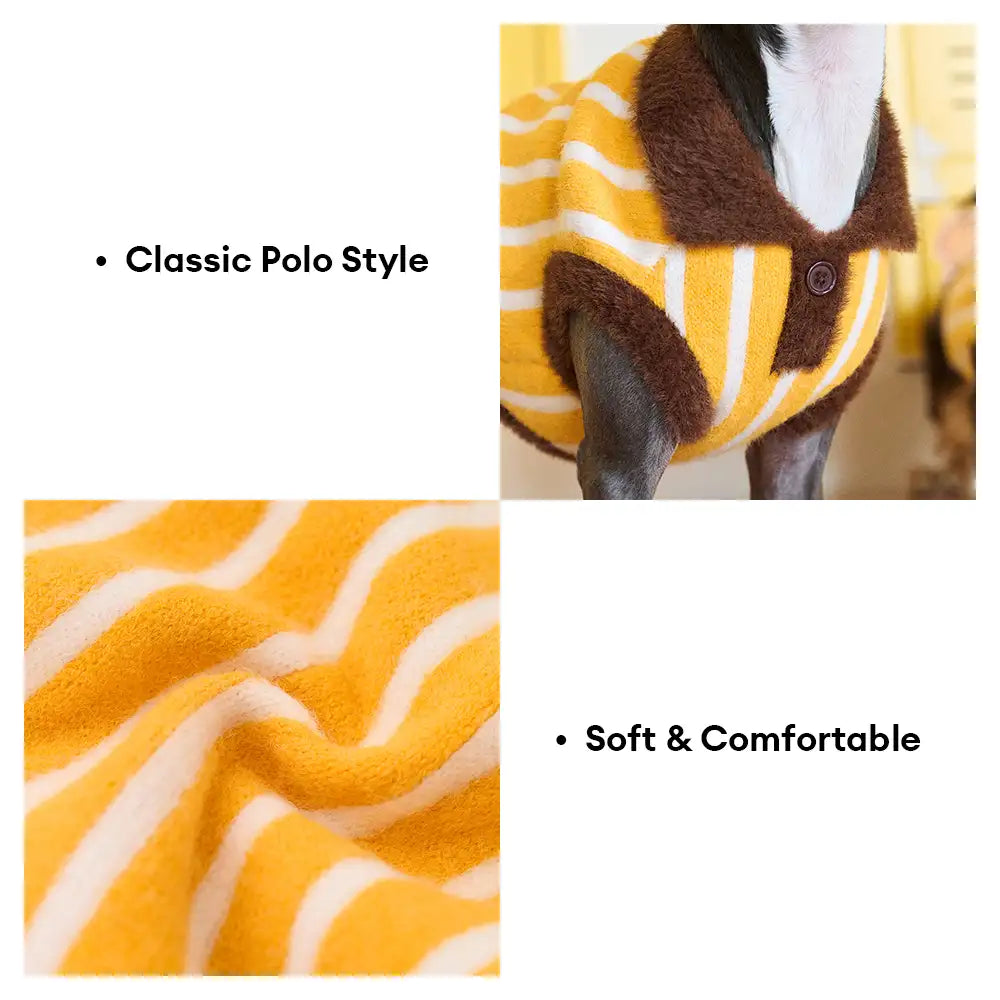 Pull pour chien en polyester à col polo rayé avec blocs de couleur de teckel.