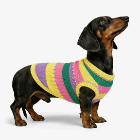 Pull sans manches pour chien en dachshund à rayures avec blocs de couleur