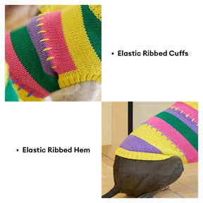 Pull sans manches pour chien en dachshund à rayures avec blocs de couleur