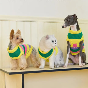 Pull sans manches pour chien en dachshund à rayures avec blocs de couleur