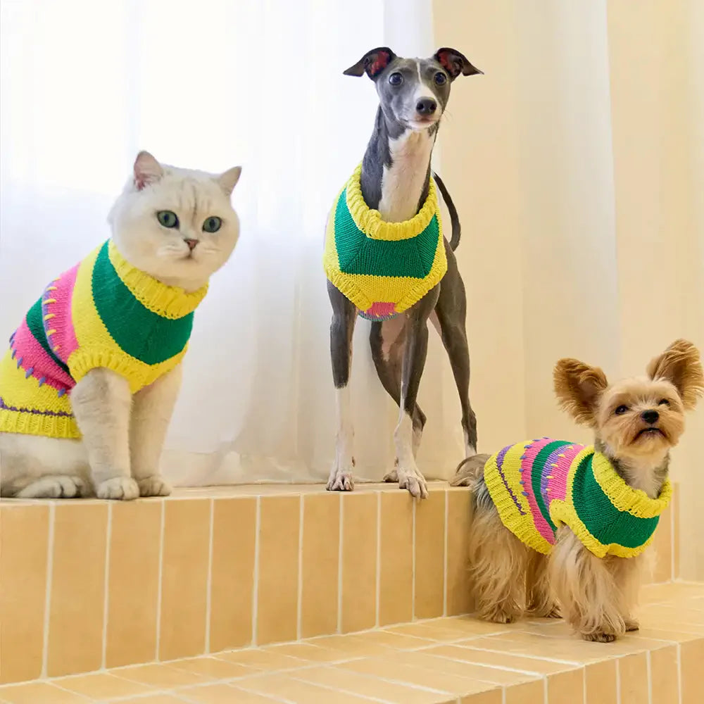 Pull sans manches pour chien en dachshund à rayures avec blocs de couleur