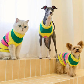 Pull sans manches pour chien en dachshund à rayures avec blocs de couleur