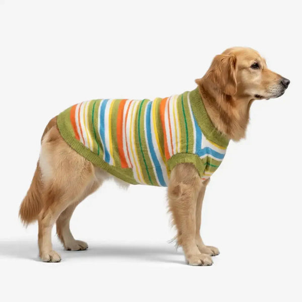Pull pour chien à rayures bicolores - Convient aux grands chiens