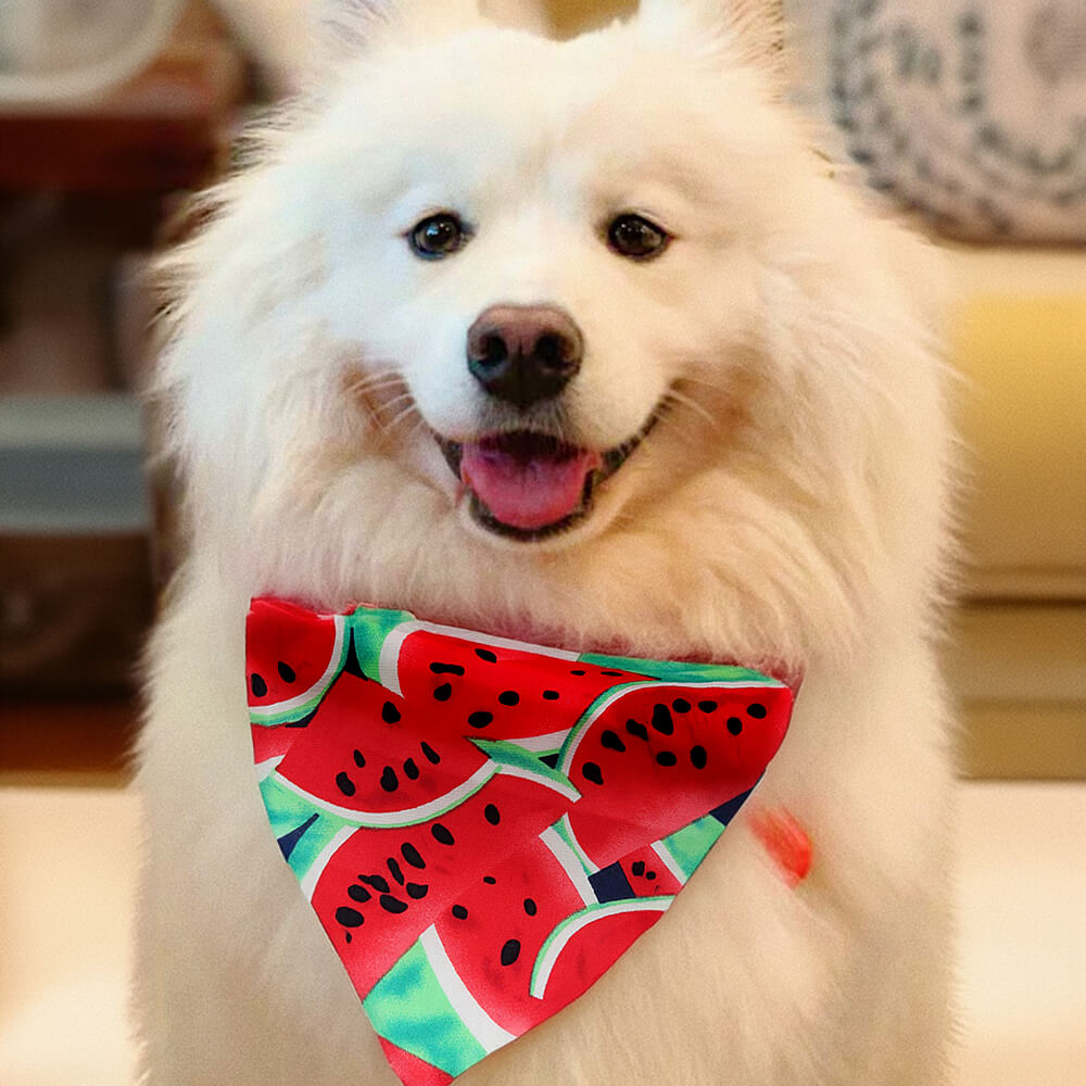 Bandana Chic pour Animaux à Nouer