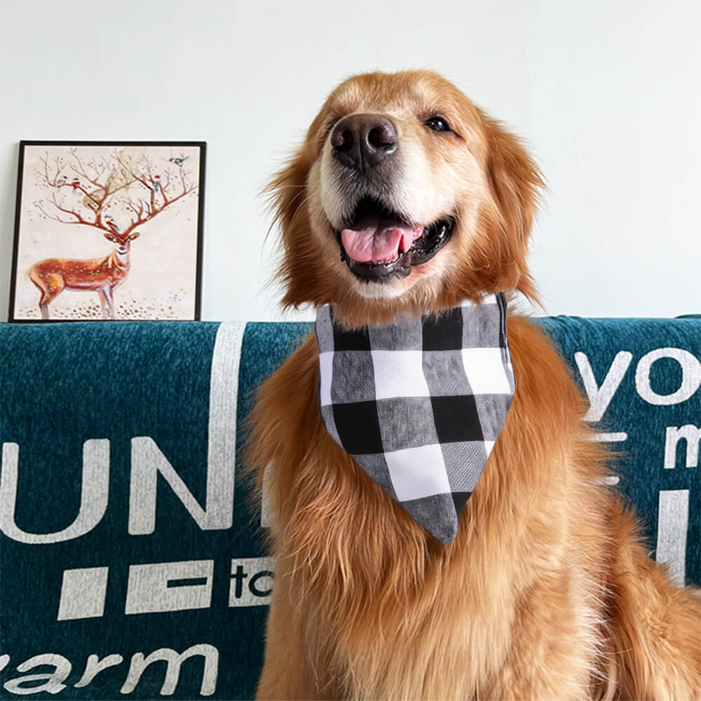 Bandana Chic pour Animaux à Nouer