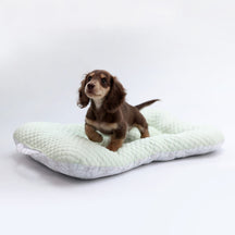 Tapis rafraîchissant 3D respirant pour chien et chat