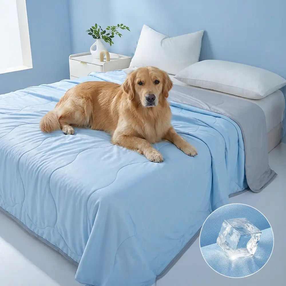 Couverture rafraichissant double face en soie glacée et absorbante - Vague