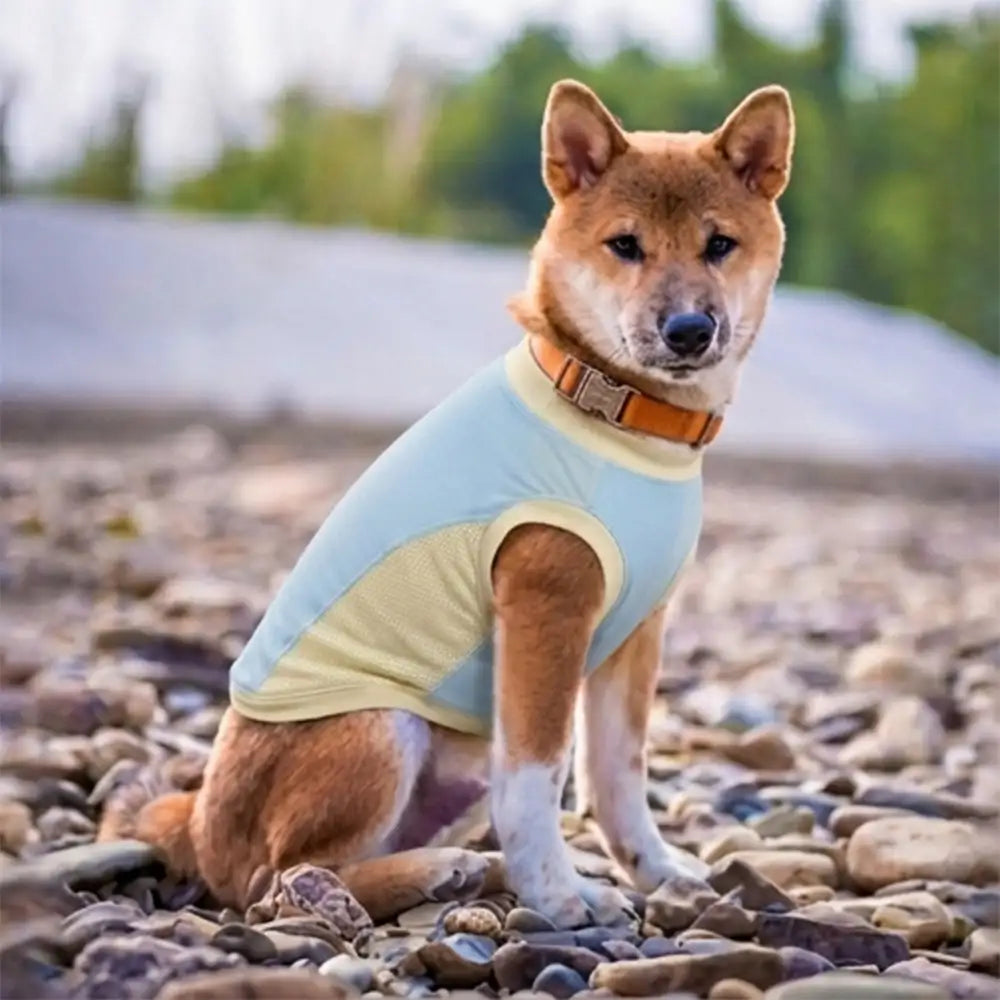 Gilet pour chien en soie glacée et anti-UV