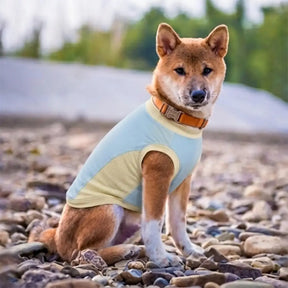 Gilet pour chien en soie glacée et anti-UV