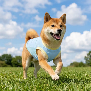 Gilet pour chien en soie glacée et anti-UV
