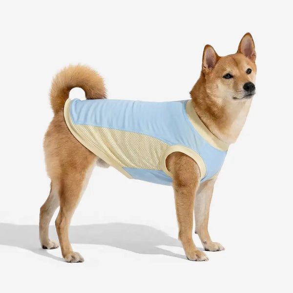Gilet pour chien en soie glacée et anti-UV