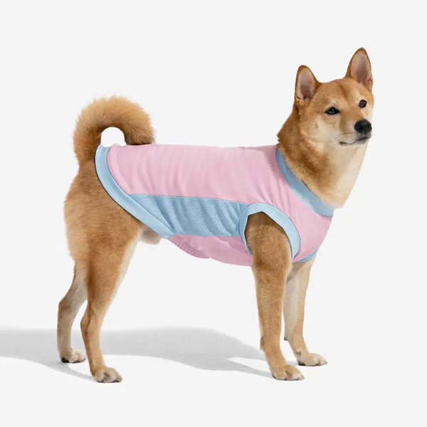 Gilet pour chien en soie glacée et anti-UV
