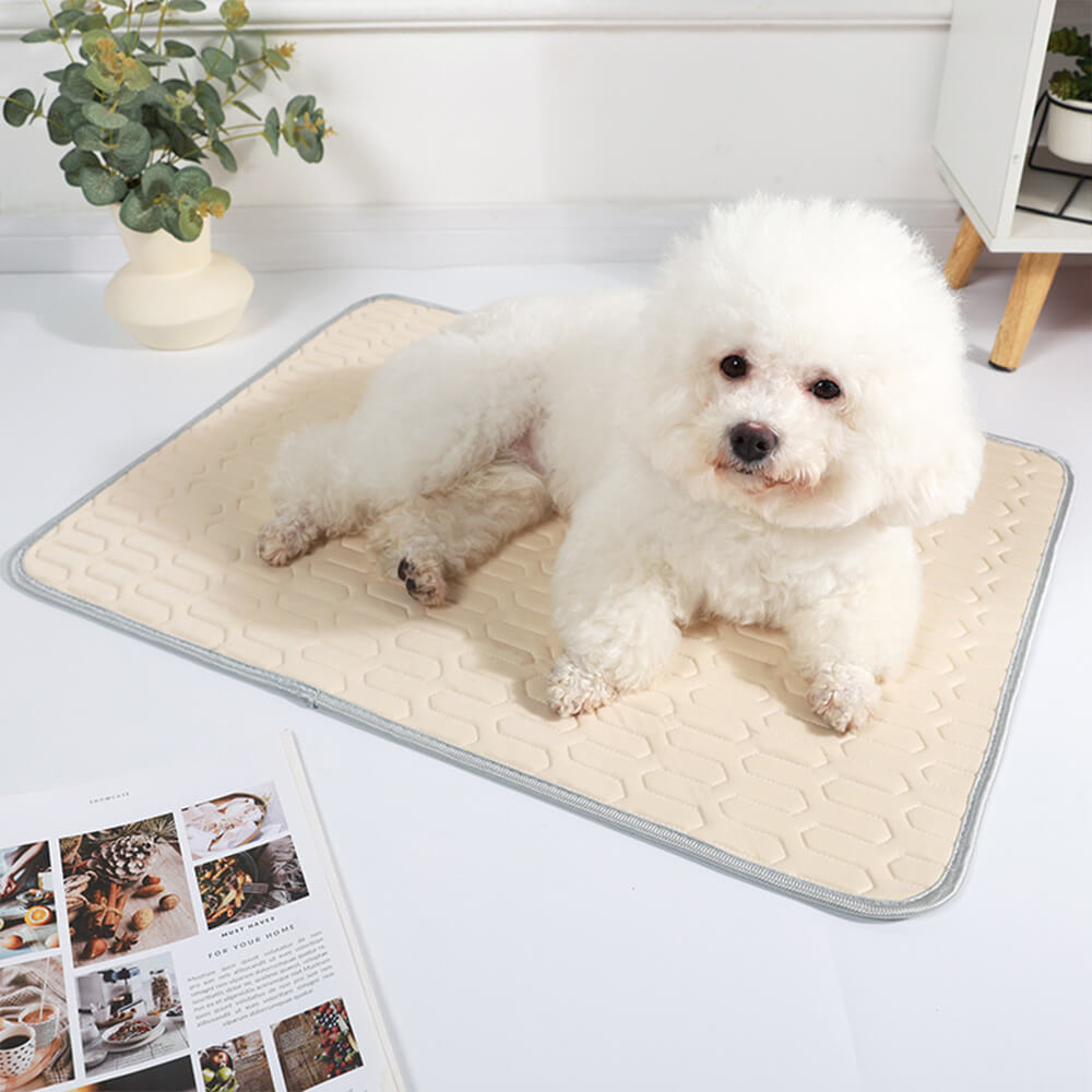 Tapis rafraîchissant lavable antidérapant respirant en soie glacée pour chien et chat