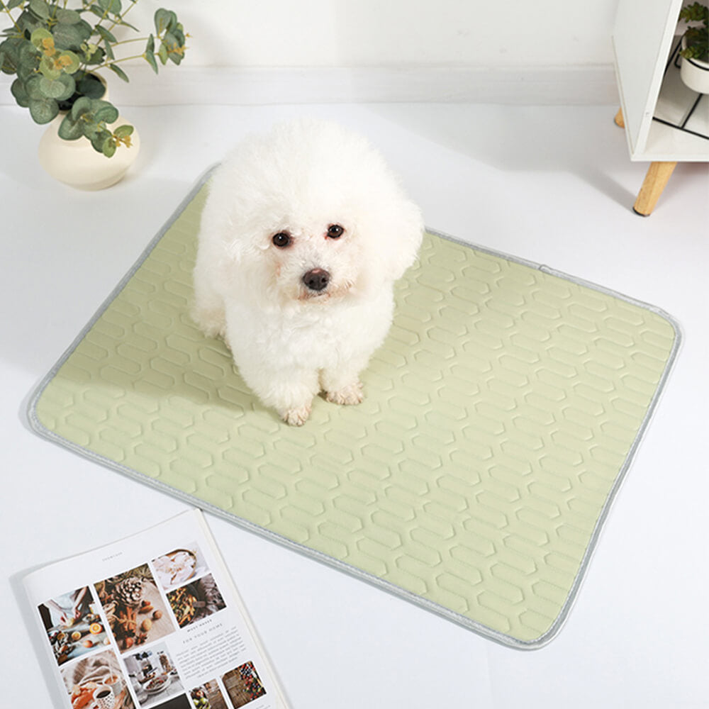 Tapis rafraîchissant lavable antidérapant respirant en soie glacée pour chien et chat