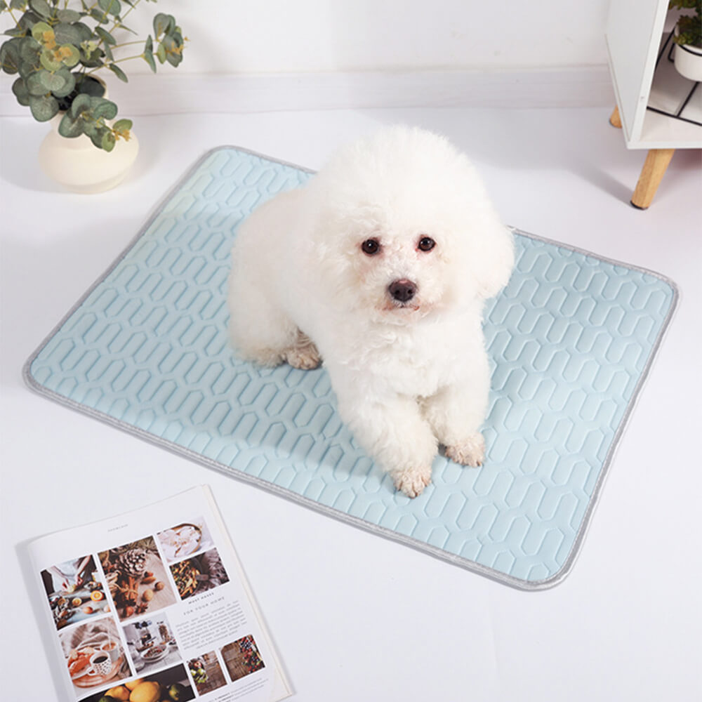 Tapis rafraîchissant lavable antidérapant respirant en soie glacée pour chien et chat