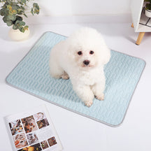 Tapis rafraîchissant lavable antidérapant respirant en soie glacée pour chien et chat