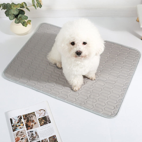 Tapis rafraîchissant lavable antidérapant respirant en soie glacée pour chien et chat
